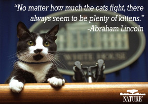 Important Pet Quotes in History