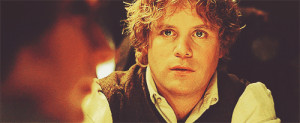 The Lord of the Rings: The Return of the King. Samwise Gamgee.