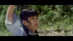 Kung-Pow! Enter The Fist