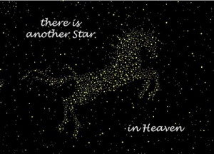 Outside says: There is another Star in Heaven