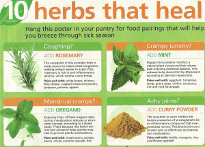 ... of Herbs: Basil, Ginger, Cloves, cinnamon + 10 herbs that heal