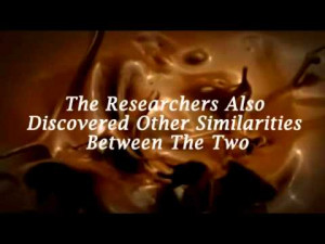 Quotes By Matt Drudge Sayings And Photos Picture