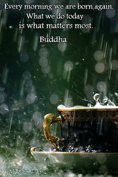 Buddha quote # Buddha # Quoted More
