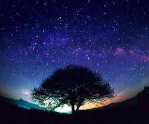 ... night sky pics the starry night sky in beautiful starry night sky