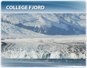 Alaska Cruises to College Fjord