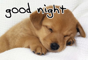 Cute Puppy Says Goodnight