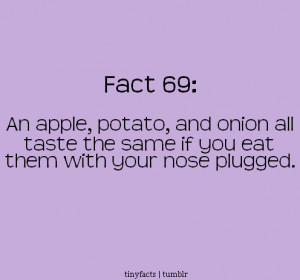 Fact Quote – An apple patato