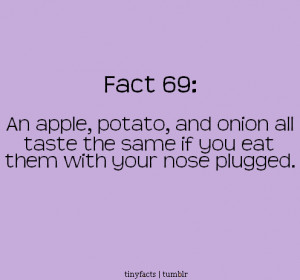 Fact Quote – An apple patato