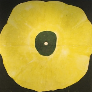 Donald Sultan Painter