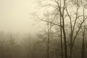 Depressive,Ambient,Suicidal,Atmosphepic,Doom,Funeral,BlackMetal | via ...