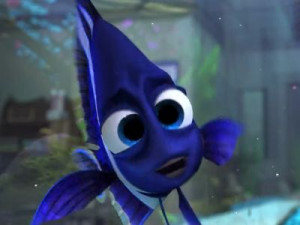 Nemo known as Sharkbait