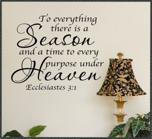 Ecclesiastes 3:1: Ecclesiastes 3:1 ~ Inspirational Inspiration
