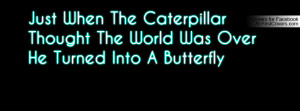 Caterpillar to Butterfly Profile Facebook Covers