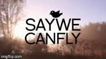 say we can fly more music band fly