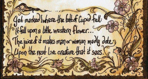 Midsummer Night's Dream