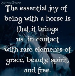 ... Horse Is That It Brings Us In Contace With Rare Elements Of Grace