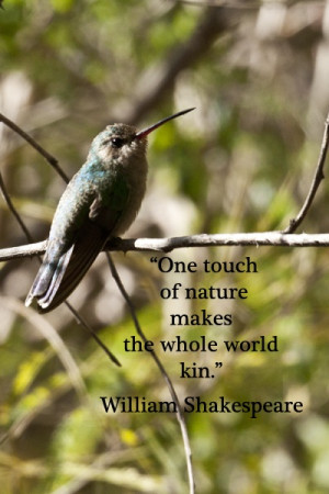 touch of nature makes the whole world kin.” – William Shakespeare ...