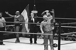 Classy Freddie Blassie.jpg