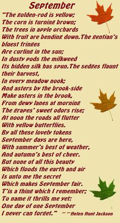 Seasonal Sayings and Quotes