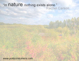 Rachel Carson Quote: Nothing Exists Alone