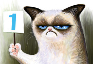 Mad Men’ Star Allison Brie Imitates Grumpy Cat, Ermagerd and Other ...