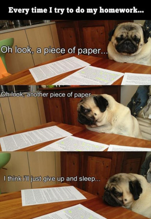 Return to Funny Picture Dump Of The Day – 51 Pics