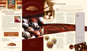 Brochure design services include concepts, messaging, design, layout ...