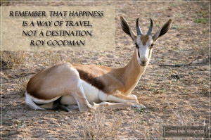Photo by Coreen Kuhn Quote by Roy Goodman Location Kgalagadi ...