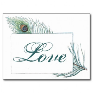 Friendship Love Quote Inspirational Peacock Postcard