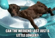 weekend is over! More