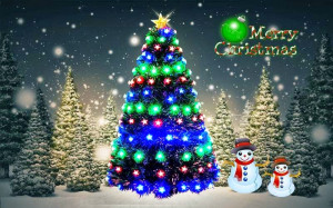 Merry Christmas Wishes 2014 Messages in Hindi