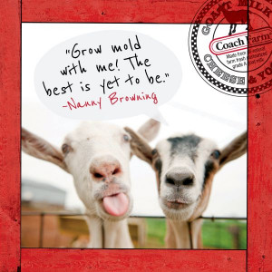 Goat Quote From Coach Farm