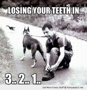 man holding dog animal leash lead mouth tying shoes losing teeth in 3 ...