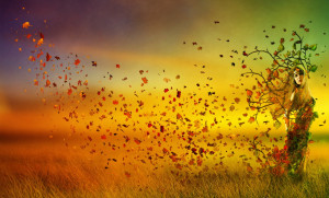 Feliz Cumpleaños Mago!!