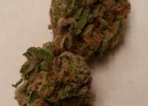 Pineapple Express From Second Story Medical Marijuana Review