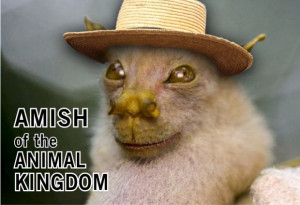 Animal quotes funny animal saying about amish and animal kingdom