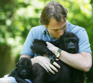 ... gorillas oudiki and tiya he says apes feel the same emotions we do and