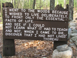 In 1839, Thoreau decided he was not meant to be a teacher and took up ...