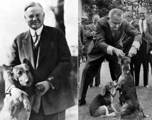 What did President Herbert Hoover and Lyndon B. Johnson have in common ...
