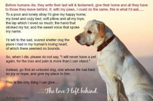 Heartwarming Old Dog Quotes