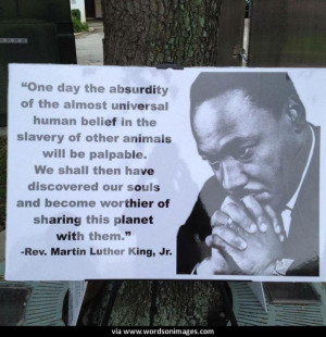 Quotes by martin luther king jr