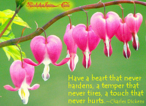bleeding-heart-flower-1