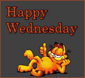 Wednesday quotes quote cartoons garfield wednesday hump day wednesday ...