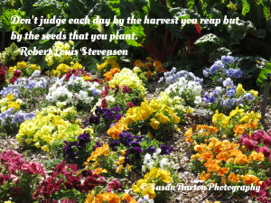 ... By The Harvest You Reap But By The Seeds That You Plant - Flower Quote