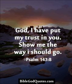 ninja~ please show me a sign because I just don't know right now ...