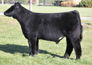 Leave a Reply Cancel reply