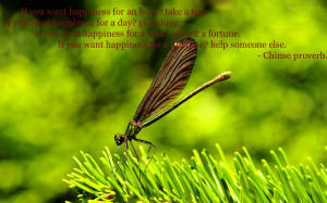 ... fortune. If you want happiness for a life time? help someone else