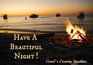 Have a beautiful night! via Carol's Country Sunshine on Facebook Night ...