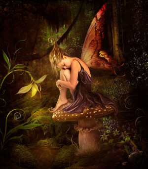 Fairies beautiful fairies