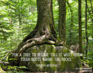 Tree quote: tough roots, rocks